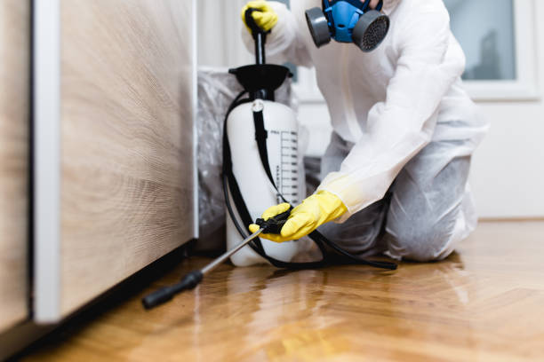 Wasp Removal Services in Porterdale, GA