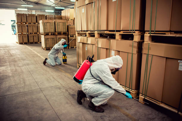 Best Affordable Pest Control Services  in Porterdale, GA