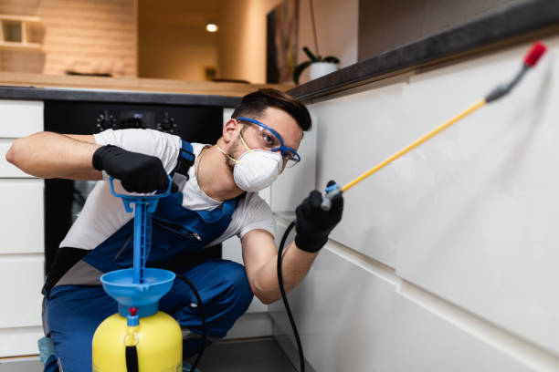 Best Residential Pest Control  in Porterdale, GA