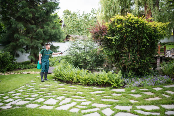 Best Pest Inspection Near Me  in Porterdale, GA