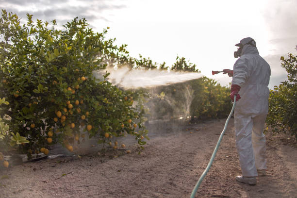 Best Insect Control  in Porterdale, GA