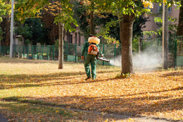 Best Mosquito Control Services  in Porterdale, GA